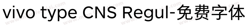 vivo type CNS Regul字体转换